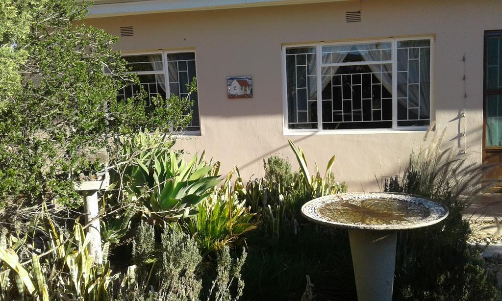 Grysbok Self Catering Accommodation Oudtshoorn Exterior photo